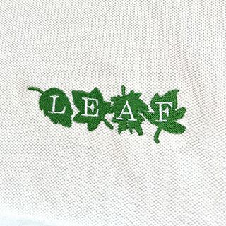 polo with embroidery