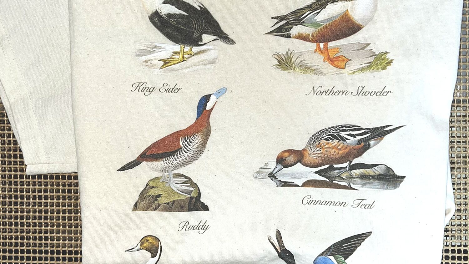 Full colour illustration for DTG printing on cotton t-shirt at Hardboiled Inc in Toronto.